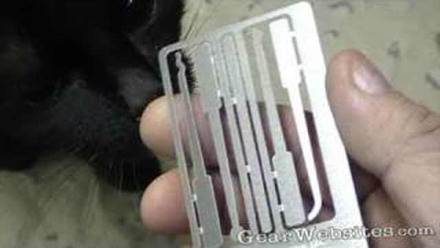 Very Cool Business Card