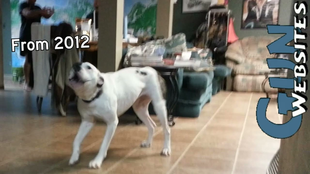 Flashback 2012 Tactical Response High Risk Civilian Contractor Course