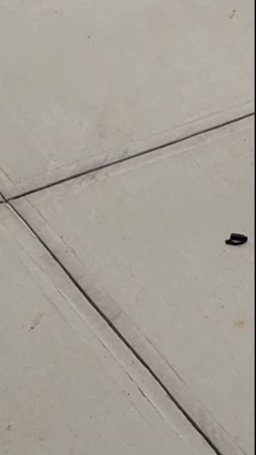 WPZ MagHook G3 Drop Test