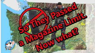 Mag Ban Passed So Where Do We Go From Here?