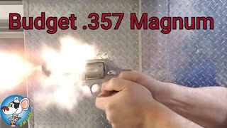 Taurus Model 65 Review.