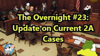 The Overnight #23: Current Second Amendment Cases