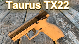 Taurus TX 22 First Shots-My First Taurus