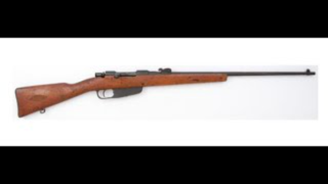 1896 Carcano Rifle Review...Should you buy one?