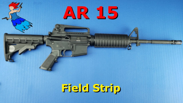 AR 15 Field Strip