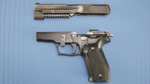 How to Field Strip the Sig Classic Pistol (P220, P225, P228, P229, M11)