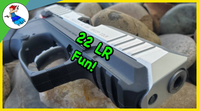 Ruger SR22 Pistol // Fun Training Gun!