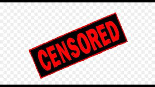 Beretta SENSORED Frame Reassembly