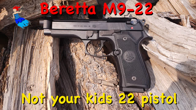 BERETTA M9 22 LR: The Beretta 22LR pistol everyone was wanting