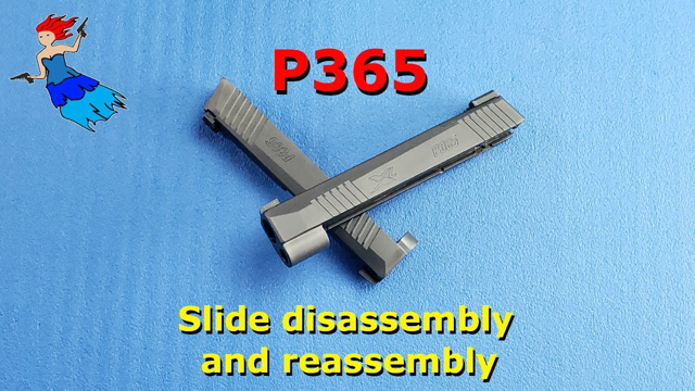 Sig P365 Slide Maintenance