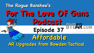 Affordable Upgrades for your AR from Bowden Tactical // Episode 37 For The Love of Guns