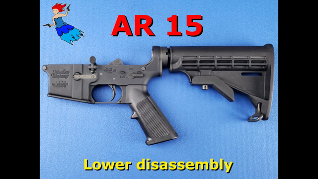 AR 15 Lower Disassembly