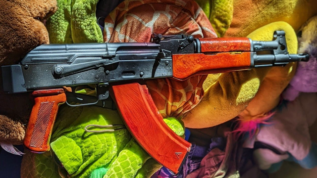 Judge Issues Nationwide Injunction Blocking Pistol Brace Ban Enforcement 11/9/23