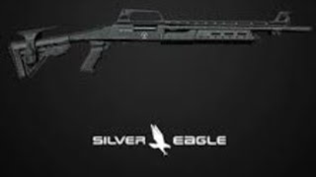 Silver Eagle RZ-17 Tactical!