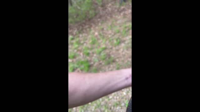 1951 Winchester 74 .22lr