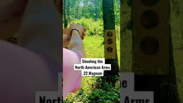 Shooting the North American  .22 Magnum #shorts