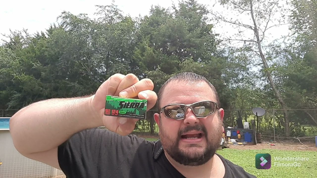 Sierra 9mm Luger 124 Grain JHP With The Ruger Max9 Pro Group Test.