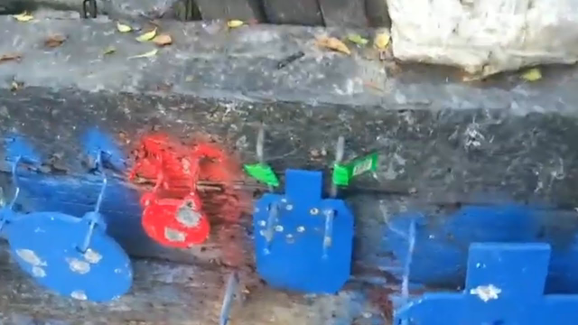 Using The Taurus TX22 To Shoot A Small Silouette From About 12 or 13 Yards. A Training Theory.