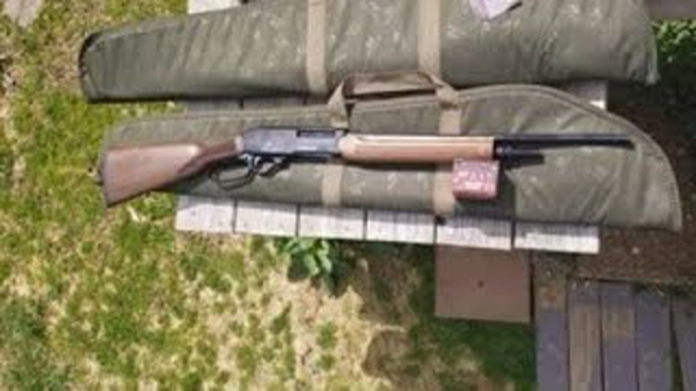 Adler Century Arms A-110 2 3/4 Inch Lever Action 410 Shotgun.