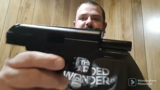 Let's Talk about Hi-Point. What and who are they for? The niche they fill.