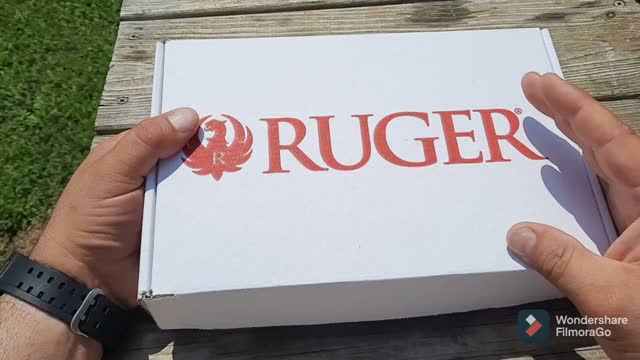 Ruger MAX-9, quick I got one Announcement. Plus, an interruption, by Cousin Carl.