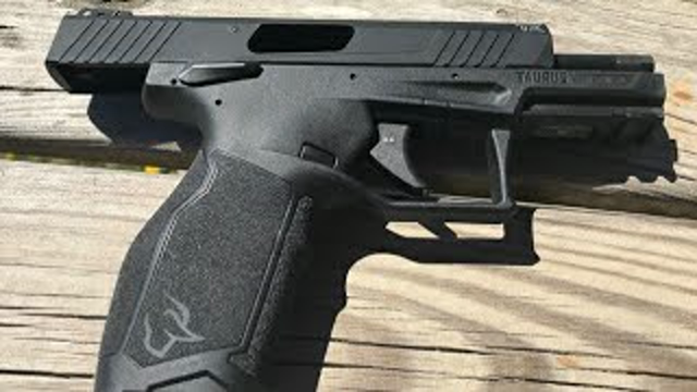 Taurus TX22 Plinking And Practice.