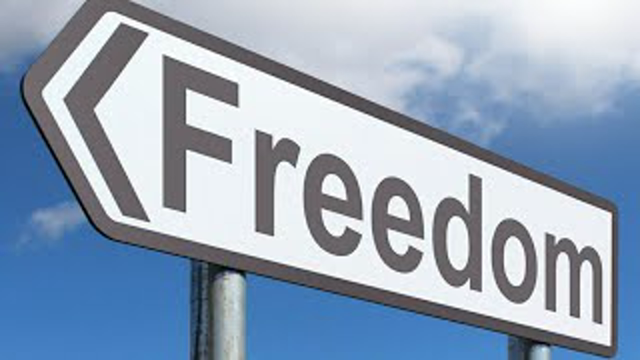 Some Quick Thoughts On Freedom