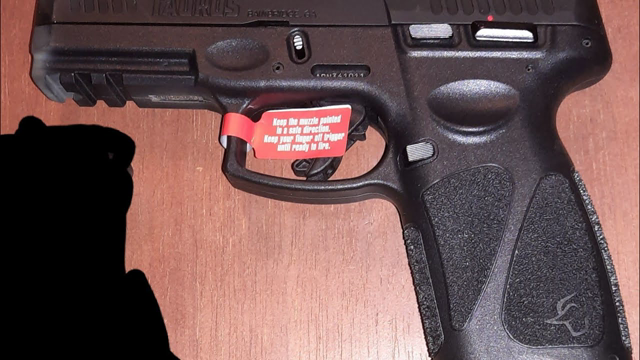 Carl's 1 Mag Review. Taurus G3