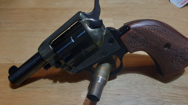 Heritage Barkeep 22LR Plinking Fun.