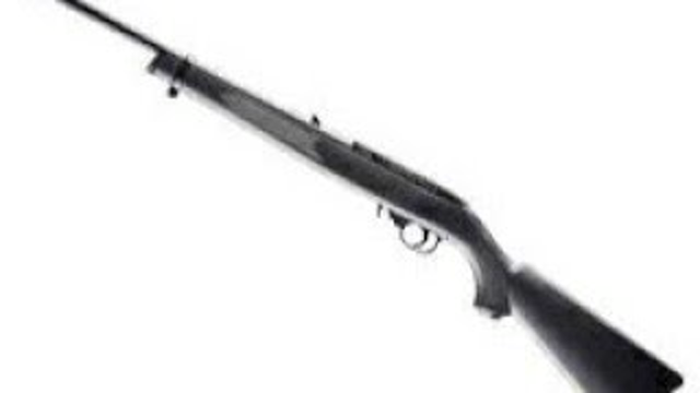 Umarex Ruger 10/22 Air Rifle First Shots.