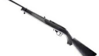 Umarex Ruger 10/22 Air Rifle First Shots.