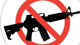 Semi-Auto Ban, Email Your Offcials, Hurry And Buy Guns And Mags Now, Something Will Get Banned.