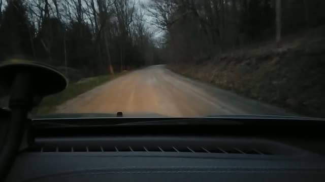 Great Deer In The Evening!