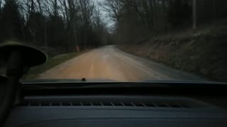 Great Deer In The Evening!